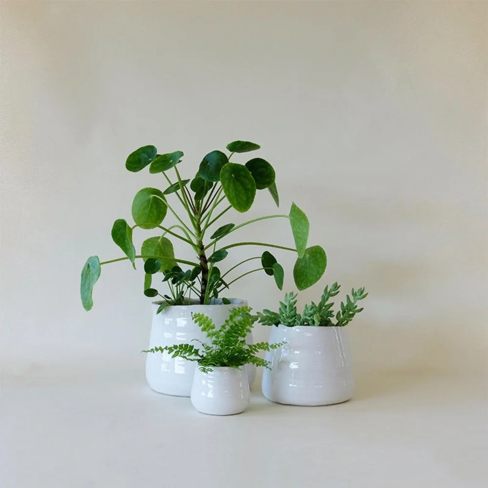 Modern organic White Ceramic Vase - Picture 3 of 8